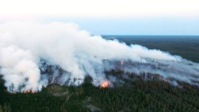 Skog som brinner i Kalajoki, i Norra Österbotten. Röken är fotograferad uppifrån.