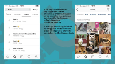 Skärmdumpar med förklarande text på hur man söker på hashtags i Instagram.