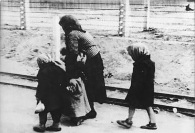 På väg till gaskammaren i Auschwitz i maj 1944.