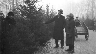 En gammal bild av ett par som köper en julgran