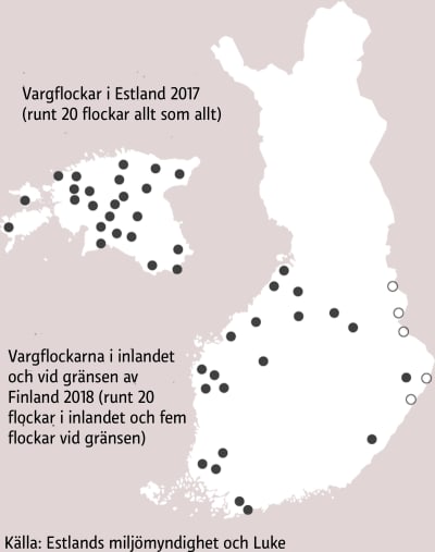Karta över vargflockar i Finland och Estland.