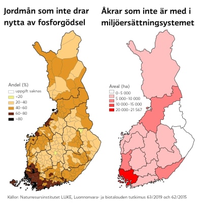 Två kartor som visar att jordmånen i sydvästra Finland i regel inte drar nytta av fosforgödsling och att de största åkerarealerna utanför miljöersättningssystemet finns på samma område.
