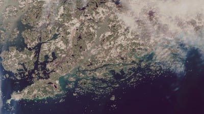 En satellitbild över Raseborg och Hangö där Pojovikens vatten ser brunt ut.