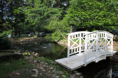 Fågeldammen i Kuppis. På bilden syns en vit bro i trä som sträcker sig över vattnet i dammen. I dammen finns många grönskande lövträd.