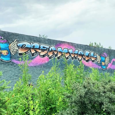 Pusikoiden takana häämöttää graffitiseinä, jossa lukee 3D-tyyliin Dreamwall eli unelmaseinä.