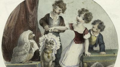 Barn som placerar peruker och hårprydnader på sina hundar. Teckning från THE NEW YORK PUBLIC LIBRARY DIGITAL COLLECTIONS.