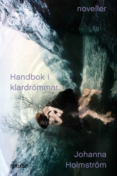 Pärmen av Johanna Holmströms novellsamling Handbok i klardrömmar (2022)