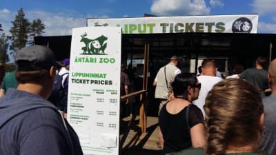 Kö till biljetter på Ähtäri zoo.