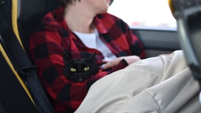 En katt ligger i famnen på en kvinna i rödrutig blus. Hon sitter i en buss.