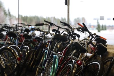 Ett stort antal cyklar står lutade mot en låg mur och mot varandra. Cyklarna har använts av personer som sökt asyl i Finland.