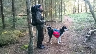 Anders Myntti går i skogen med sin hund.