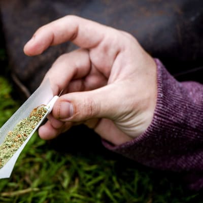 Kannabissätkä.