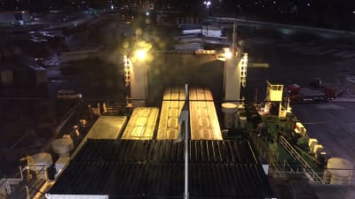 Lastbilar med grisar på bildäck