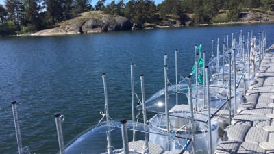 Experiment i Tvärminne