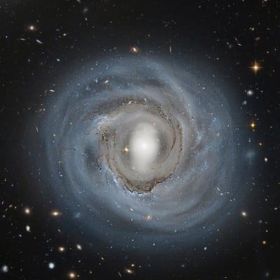 Hubble-avaruusteleskoopin kuva 310 miljoonan valovuoden päässä sijaitsevasta NGC 4921 -galaksista.