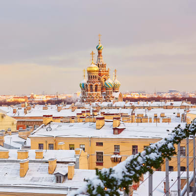 Utsikt över taken i ett vintrigt S:t Petersburg. 