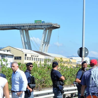 Genovan romahtanut Morandi-silta