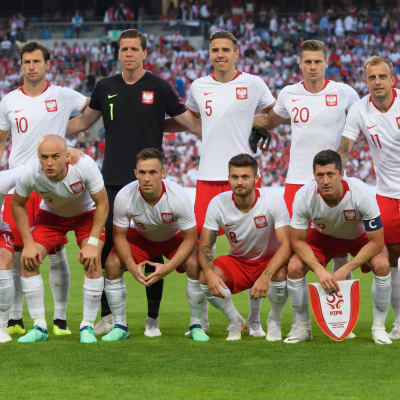 Puolan joukkue