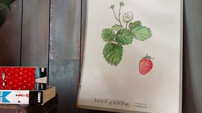 En plansch med en handmålad jordgubbsplanta med en handtryckt text.