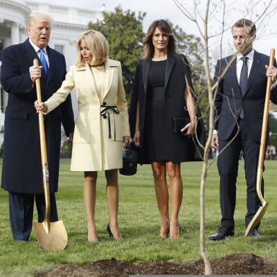 Yhdysvaltain presidentti Donald Trump, Ranskan presidentti Emmanuel Macron sekä puolisot Melania Trump ja Brigitte Macron istuttavat puita Valkoisen talon pihalla.