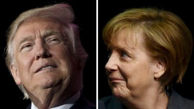 Porträtt på USA:s tresident Donald Trump och tyska förbundskanslern Angela Merkel