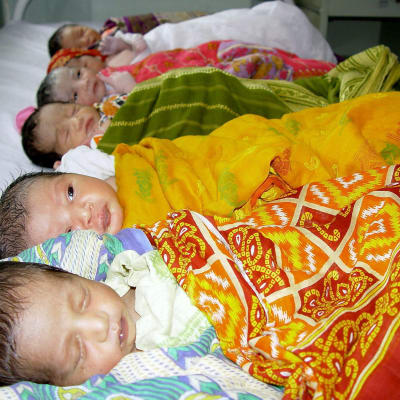 Nyfödda indiska babyer på ett sjukhus i delstaten Tripura.