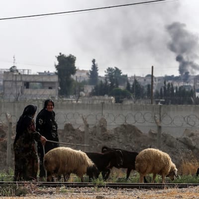 Naiset ulkoiluttavat lammaslaumaa Turkin-rajan tuntumassa Syyriassa.