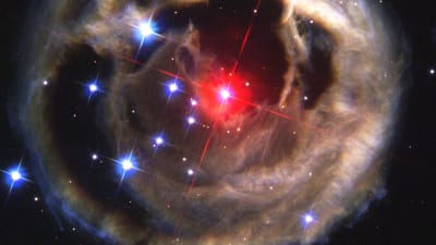 V838 Monocerotis, en röd stjärna i Enhörningens stjärnbild. Den känns igen på det ljuseko som den omges av.