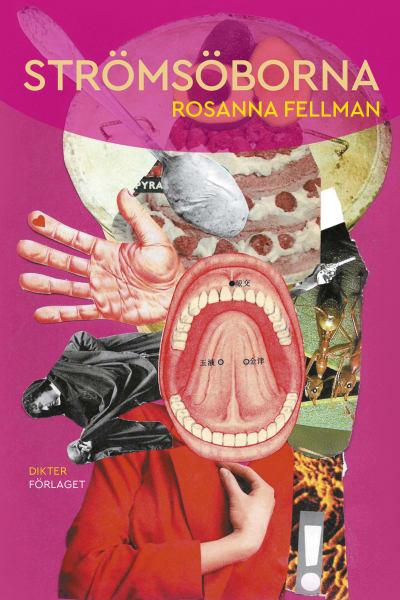 Pärmen till Rosanna Fellmans diktsamling "Strömsöborna".