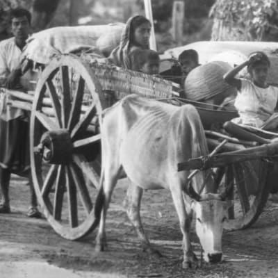 Taisteluita ja bengalien joukkomurhaa paenneet pakolaiset palaavat kotiin Intiasta (1972).