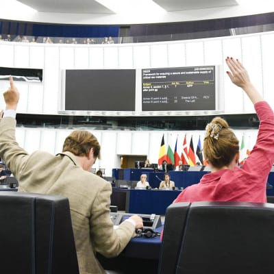 Två Europaparlamentariker sträcker upp sina händer under en omröstning i parlamentet