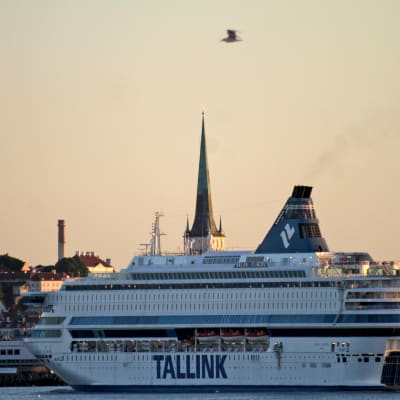 Matkustajalautta saapuu Tallinnan satamaan.