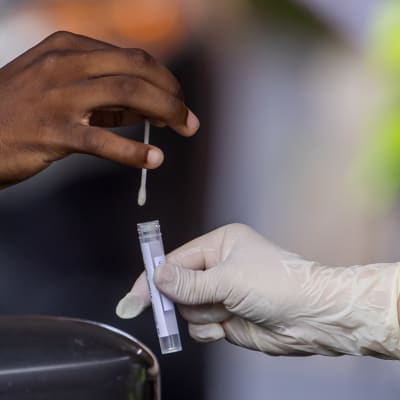 En person med gummihandske på sig håller i ett coronatest. En annan hand sätter in en bomullspinne i provröret.