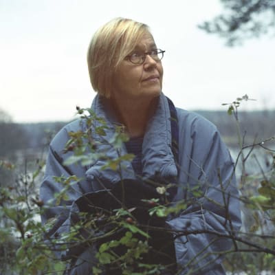 Tua Forsström, 2002