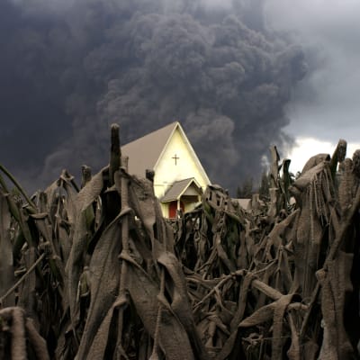 Kyrka i ödelagt majsfält nära vulkanen Sinabung på Sumatra