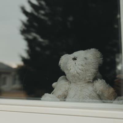 En vit lurvig nallebjörn sitter bakom ett fönster.