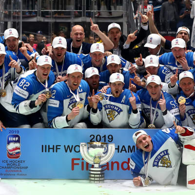 Leijonat