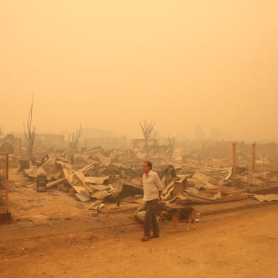 Santa Olgan pikkukaupunki tuhoutui maastopaloissa Chilessä täysin. Mies käveli raunioiden keskellä torstaina 26. tammikuuta 2017. 