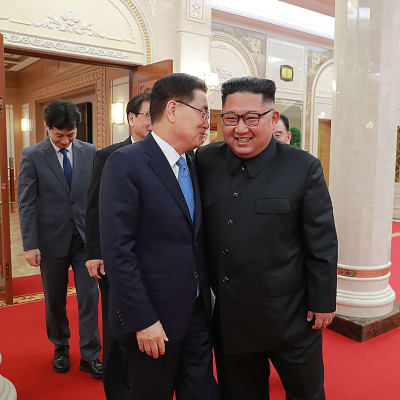 En delegation från Sydkorea ledd av Chung Eui-yong hade ett till synes lyckat möte med Kim Jong-Un i Pyongyang. 