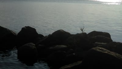 Strand vid havet
