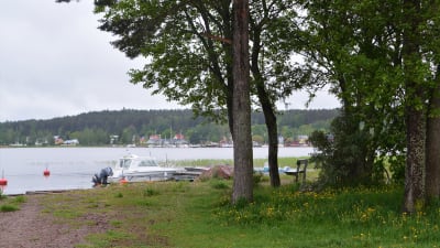 En liten träddunge på en udde invid Lovisavikens östra strand. Utsikt mot Lovisa gamla stad och segelbåtar.