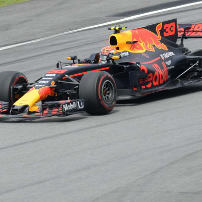 Max Verstappen radalla.
