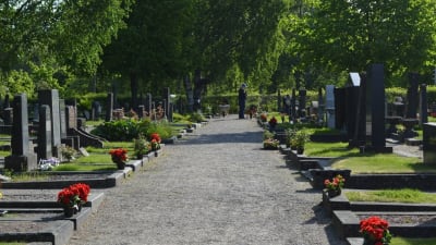 Blommor är utradade på gravarna på Vasa gravgård. Till näst ska de planteras.