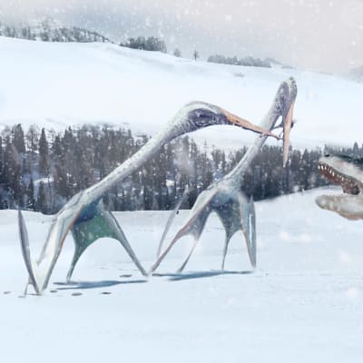 Dinosauruksia hangessa