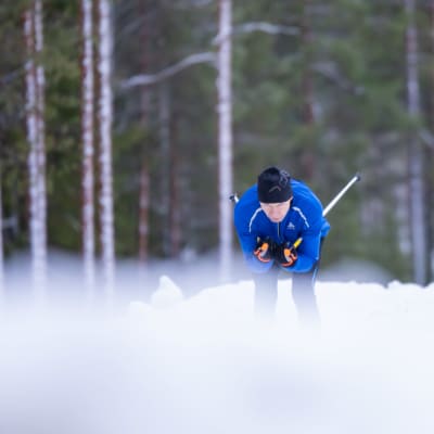 Hiihtäjä alamäessä kyykkyasennossa sauvat kainalossa. 