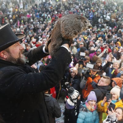 Groundhog Club Inner Circle-medlem och hanterare A.J. Dereume visar Punxsutawney Phil för publiken under Groundhog Day-firandet på Gobblers Knob i Punxsutawney, Pennsylvania, USA, 2 februari 2020.