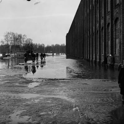 Porin tulva 50-luku