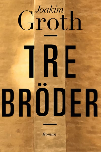 Pärmen till Joakim Groths roman Tre bröder.