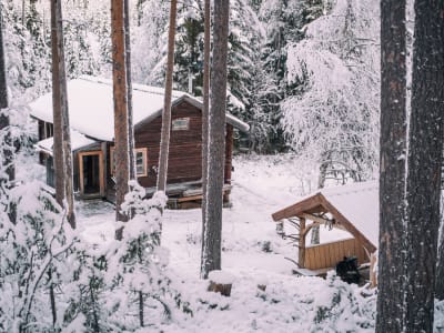 Stuga i skogen.