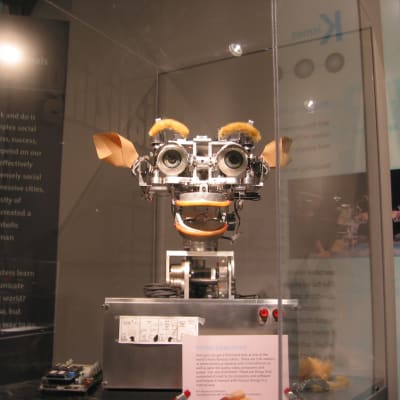 Kismet-roboten är konstruerad av ai-teknik och kan simulera känslor.